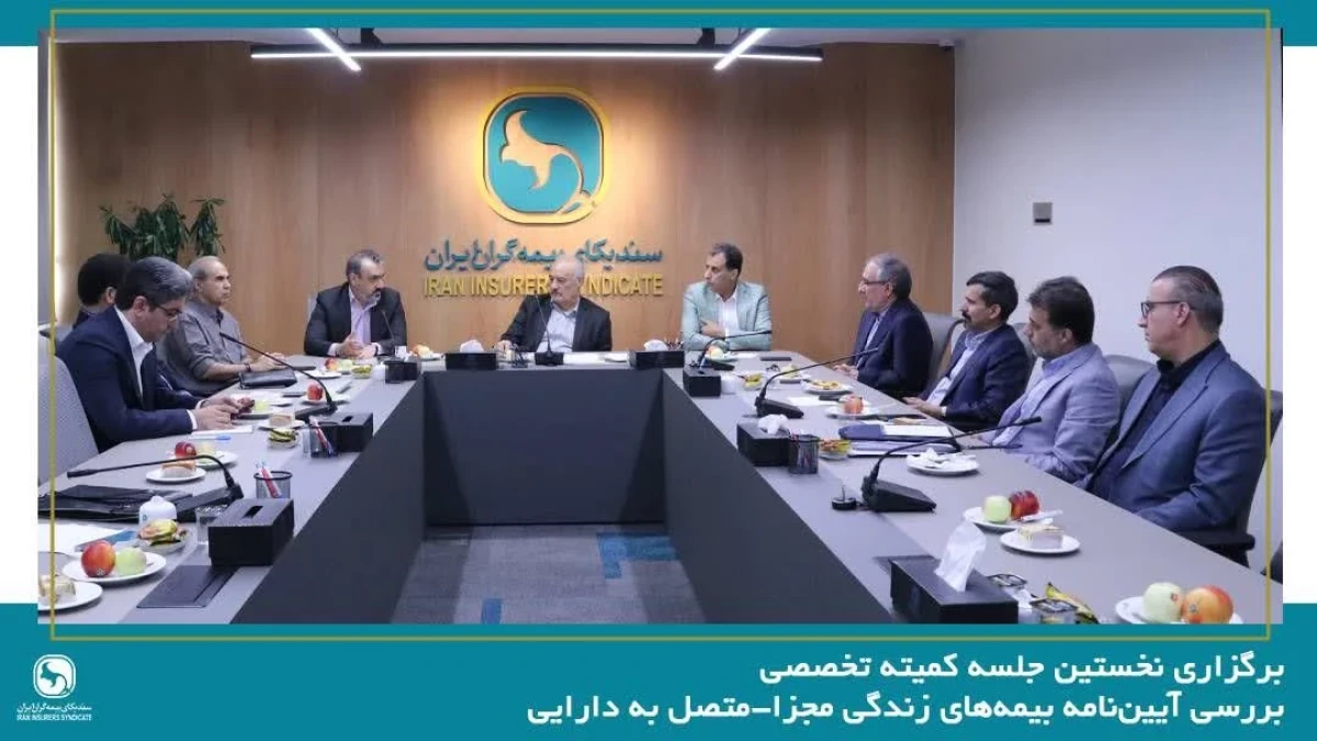 برگزاری نخستین جلسه کمیته تخصصی بررسی آیین‌نامه بیمه‌های زندگی مجزا - متصل به دارایی