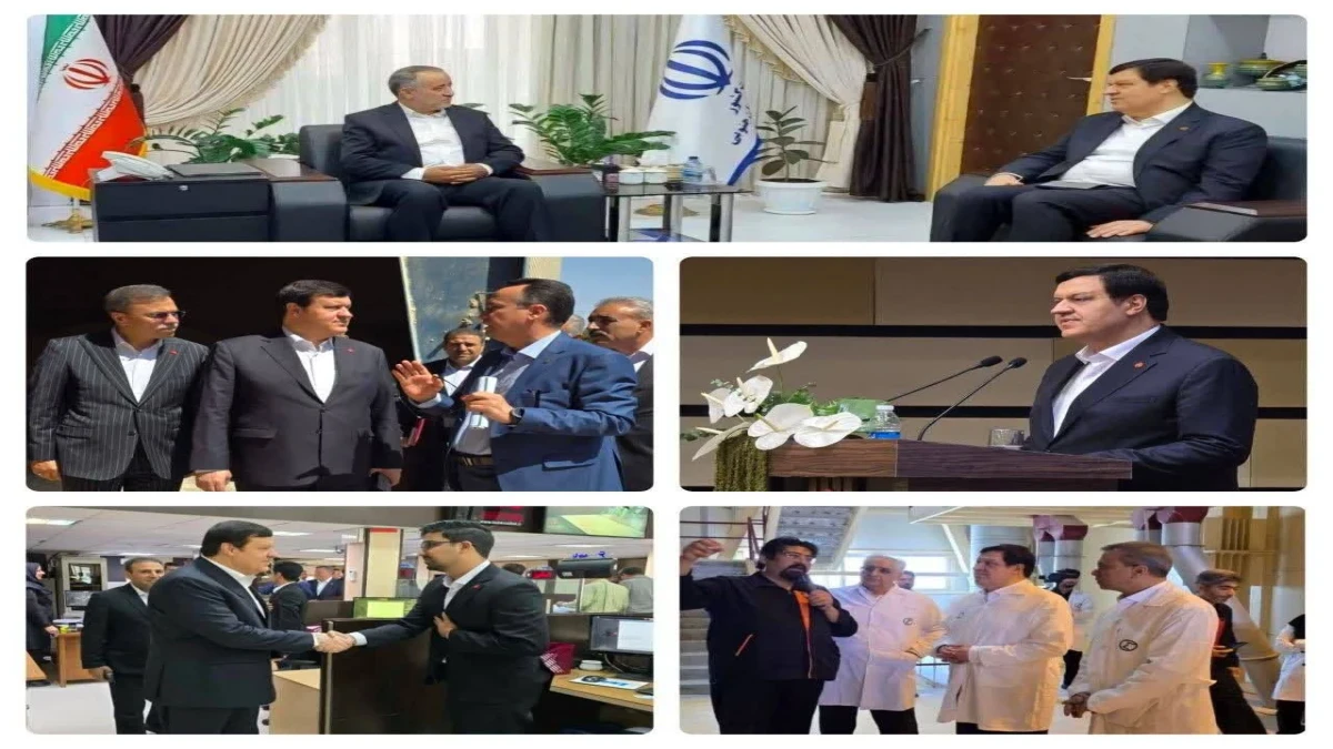 فرخ‌نژاد: حمایت از تولید در دستور کار بانک ملت است