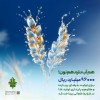 حمایت 96 هزار میلیارد ریالی بانک کشاورزی از مدیریت بحران آب با بذرهای گواهی شده
