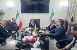 دیدار مدیران تاپیکو و تدکو با معاون وزیر خارجه برای واردات گاز از ترکمنستان