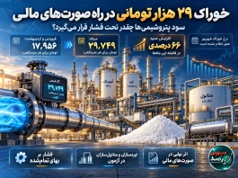 خوراک ۲۹ هزار تومانی در راه صورت‌های مالی؛ سود پتروشیمی‌ها چقدر تحت فشار قرار می‌گیرد؟ | تأثیر نرخ خوراک ۲۹ هزار تومانی بر سود پتروشیمی‌ها در سال ۱۴۰۵